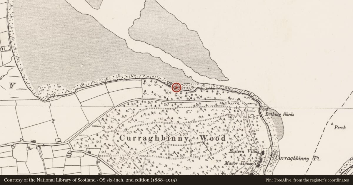 Ordnance Survey six-inch map, 2nd edition (1888–1915) covering the location of Midden, Curraghbinny, County Cork, with a pin at the register's coordinates