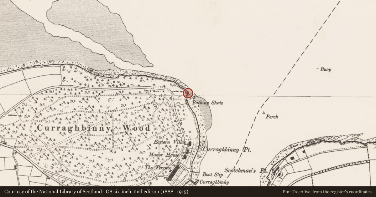 Ordnance Survey six-inch map, 2nd edition (1888–1915) covering the location of Midden, Curraghbinny, County Cork, with a pin at the register's coordinates