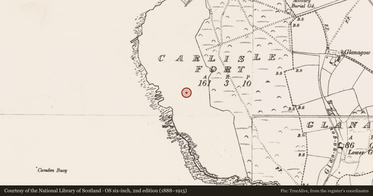 Ordnance Survey six-inch map, 2nd edition (1888–1915) covering the location of Fortification, Carlislefort, County Cork, with a pin at the register's coordinates