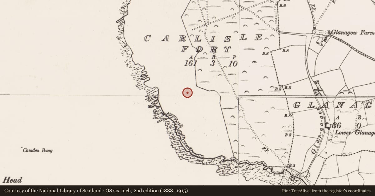Ordnance Survey six-inch map, 2nd edition (1888–1915) covering the location of Signal tower, Carlislefort, County Cork, with a pin at the register's coordinates