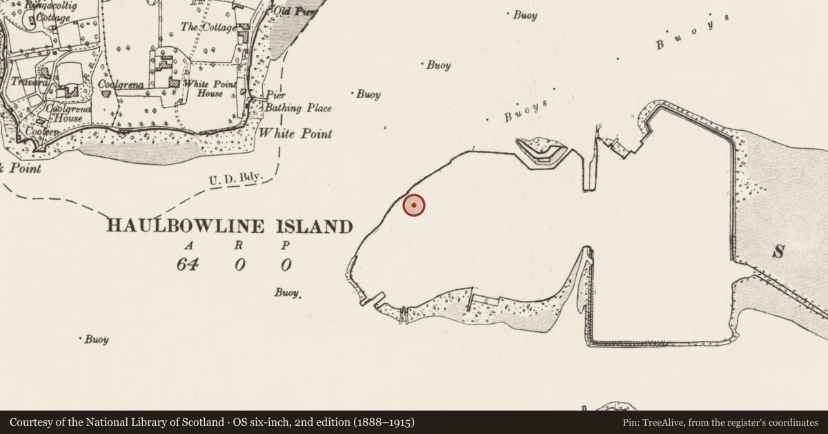 Ordnance Survey six-inch map, 2nd edition (1888–1915) covering the location of Martello tower, Haulbowline Island, County Cork, with a pin at the register's coordinates