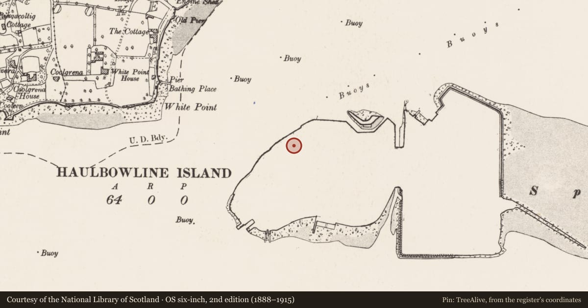 Ordnance Survey six-inch map, 2nd edition (1888–1915) covering the location of Bastioned fort, Haulbowline Island, County Cork, with a pin at the register's coordinates