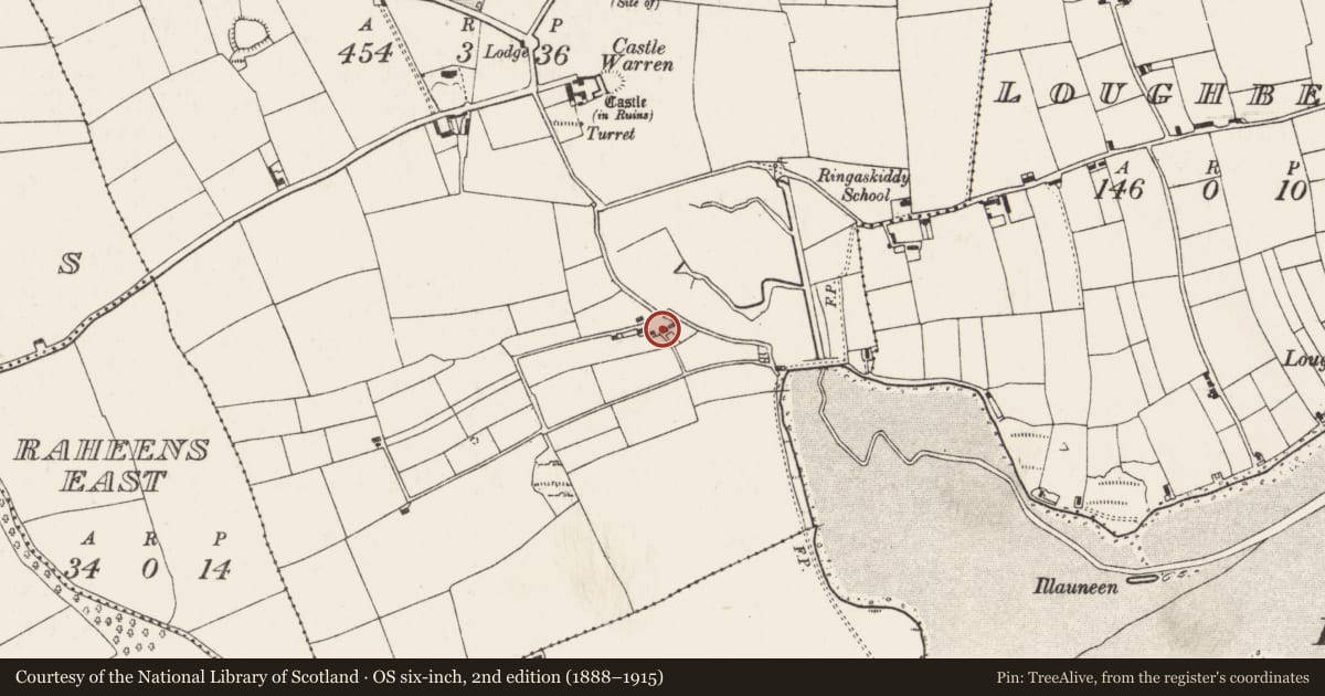 Ordnance Survey six-inch map, 2nd edition (1888–1915) covering the location of House - vernacular house, Barnahely, County Cork, with a pin at the register's coordinates
