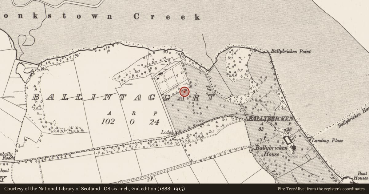 Ordnance Survey six-inch map, 2nd edition (1888–1915) covering the location of Ecclesiastical site, Ballintaggart, County Cork, with a pin at the register's coordinates