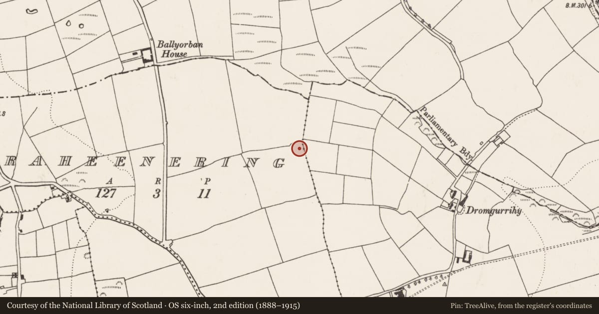 Ordnance Survey six-inch map, 2nd edition (1888–1915) covering the location of Enclosure, Raheenering, County Cork, with a pin at the register's coordinates