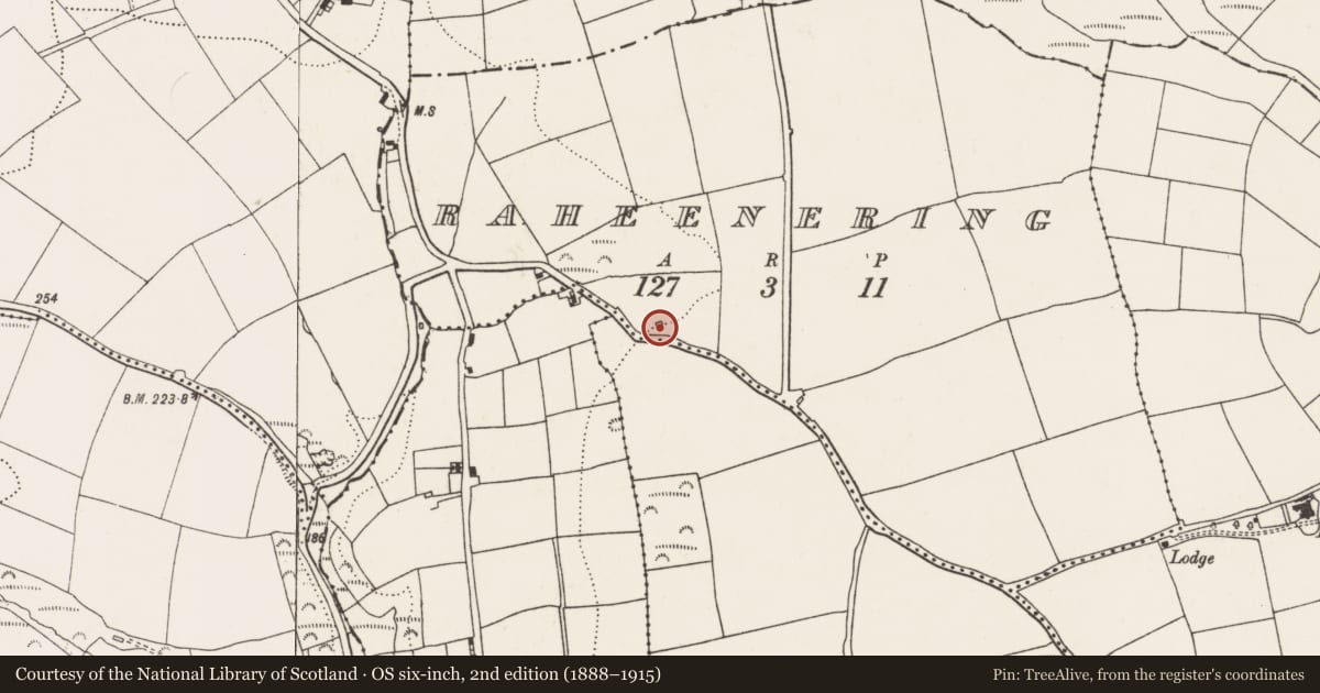 Ordnance Survey six-inch map, 2nd edition (1888–1915) covering the location of Kiln - lime, Raheenering, County Cork, with a pin at the register's coordinates