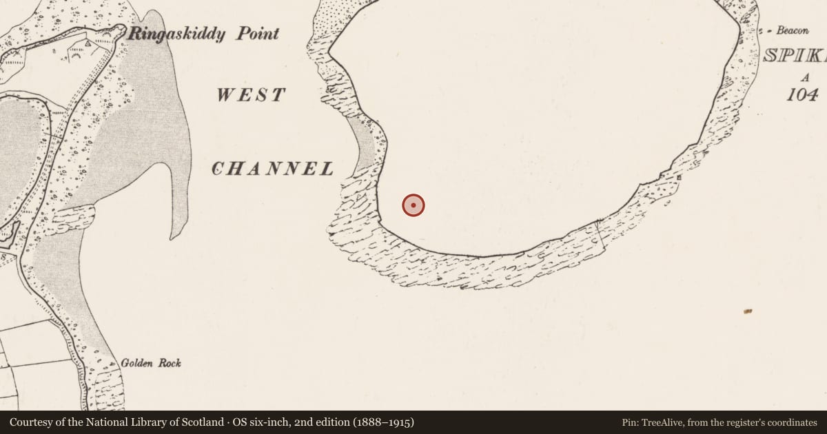 Ordnance Survey six-inch map, 2nd edition (1888–1915) covering the location of Burial ground, Spike Island, County Cork, with a pin at the register's coordinates