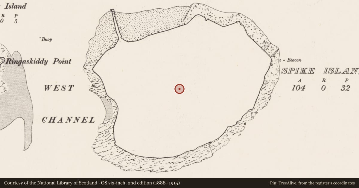 Ordnance Survey six-inch map, 2nd edition (1888–1915) covering the location of Ecclesiastical site, Spike Island, County Cork, with a pin at the register's coordinates