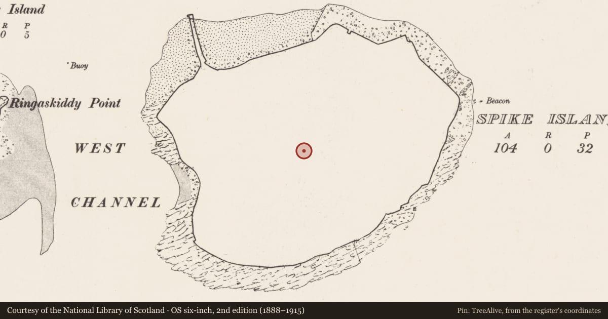 Ordnance Survey six-inch map, 2nd edition (1888–1915) covering the location of Fortification, Spike Island, County Cork, with a pin at the register's coordinates