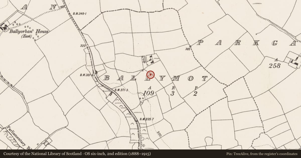 Ordnance Survey six-inch map, 2nd edition (1888–1915) covering the location of Standing stone, Ballymot, County Cork, with a pin at the register's coordinates