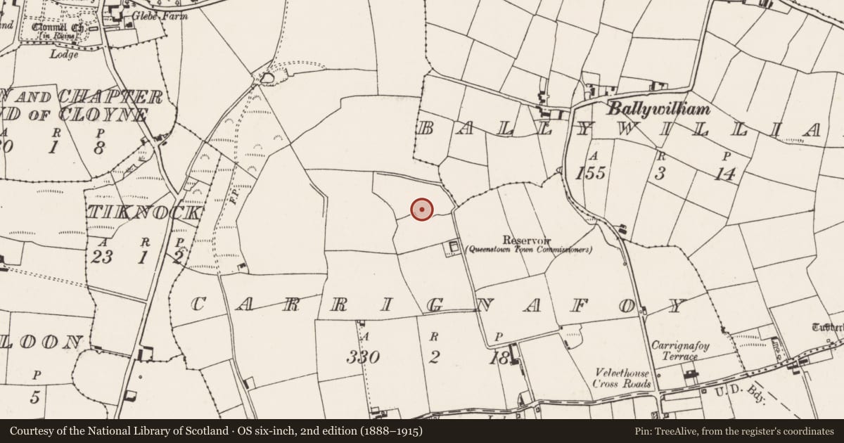 Ordnance Survey six-inch map, 2nd edition (1888–1915) covering the location of Ringfort - rath, Carrignafoy, County Cork, with a pin at the register's coordinates