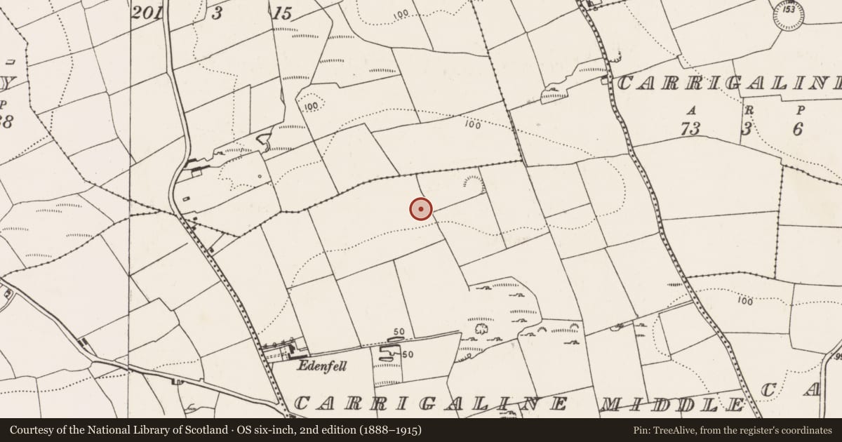 Ordnance Survey six-inch map, 2nd edition (1888–1915) covering the location of Souterrain, Carrigaline Middle, County Cork, with a pin at the register's coordinates