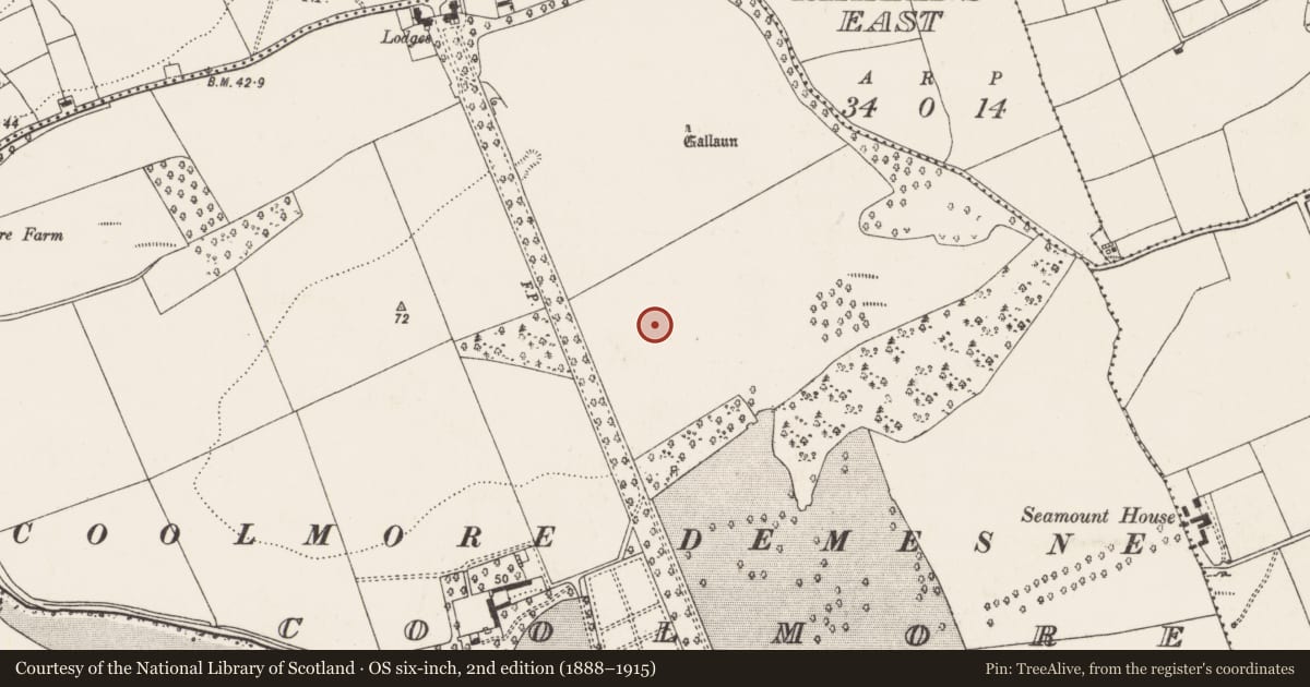 Ordnance Survey six-inch map, 2nd edition (1888–1915) covering the location of Enclosure, Coolmore, County Cork, with a pin at the register's coordinates