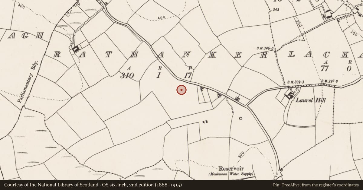 Ordnance Survey six-inch map, 2nd edition (1888–1915) covering the location of Souterrain, Rathanker, County Cork, with a pin at the register's coordinates