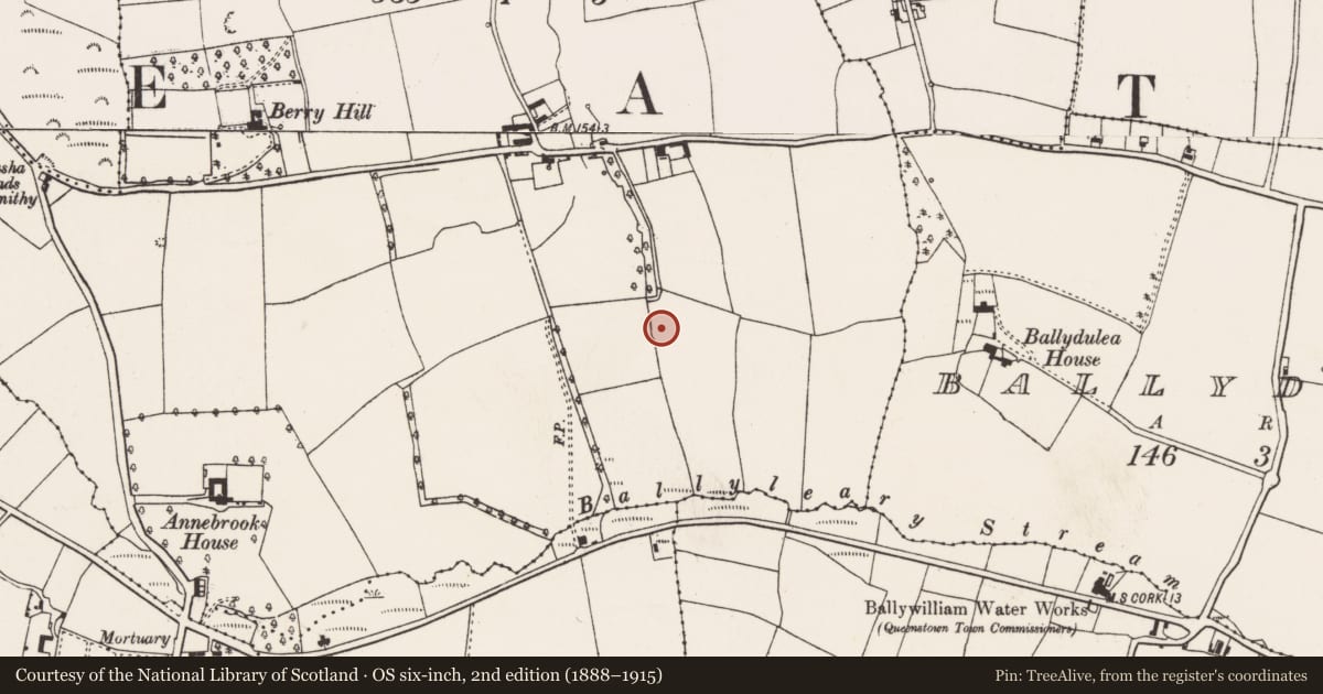 Ordnance Survey six-inch map, 2nd edition (1888–1915) covering the location of Fulacht fia, Ballynacrusha, County Cork, with a pin at the register's coordinates