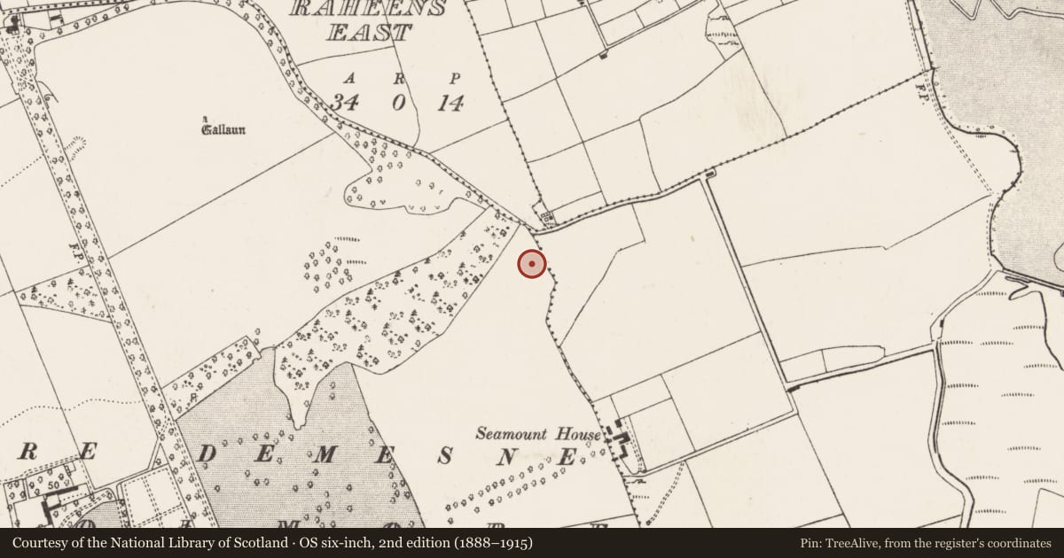Ordnance Survey six-inch map, 2nd edition (1888–1915) covering the location of Enclosure, Coolmore, County Cork, with a pin at the register's coordinates
