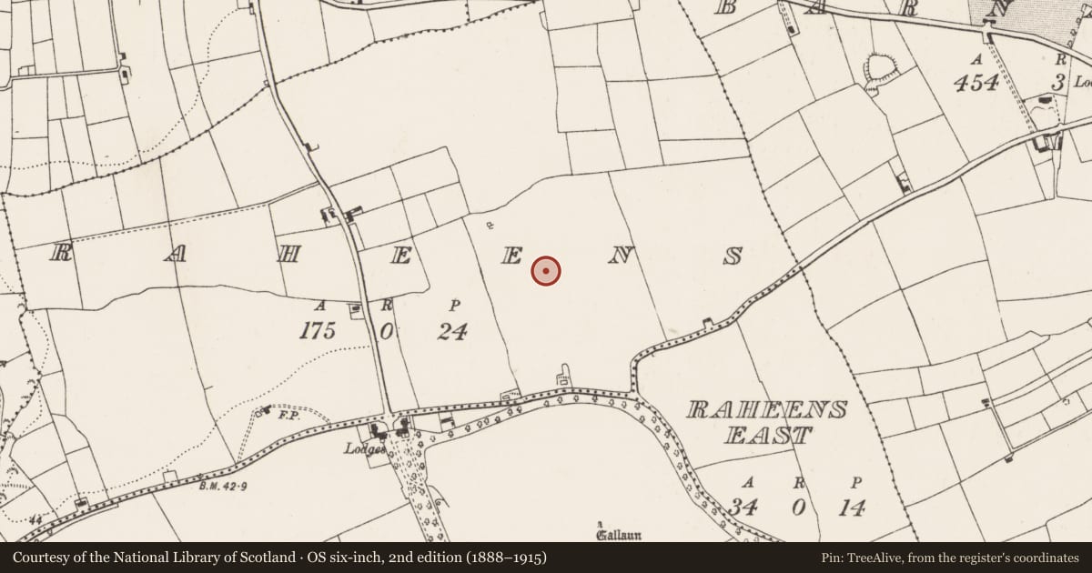 Ordnance Survey six-inch map, 2nd edition (1888–1915) covering the location of Souterrain, Raheens, County Cork, with a pin at the register's coordinates
