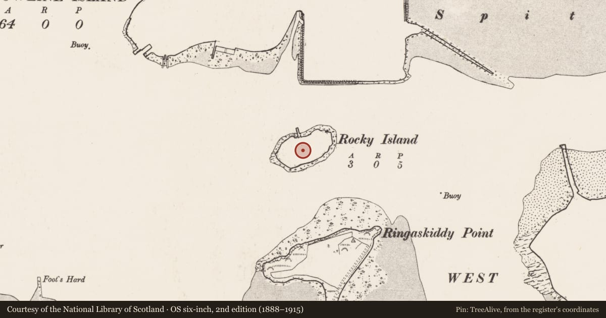 Ordnance Survey six-inch map, 2nd edition (1888–1915) covering the location of Magazine, Rocky Island, County Cork, with a pin at the register's coordinates