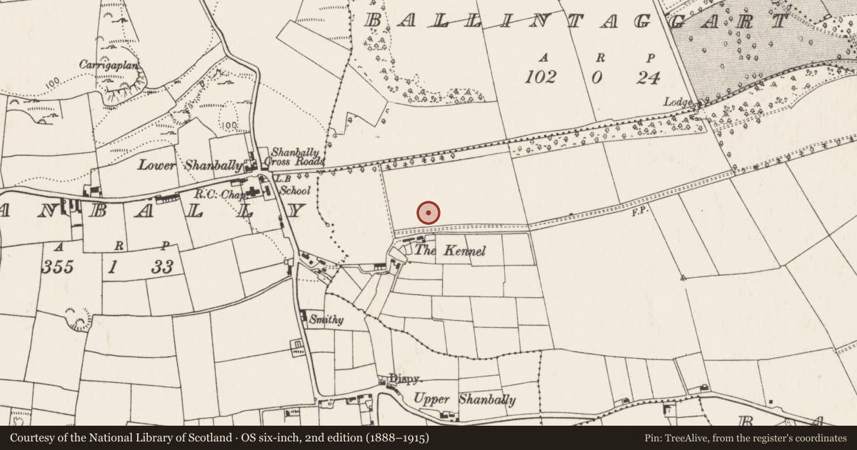 Ordnance Survey six-inch map, 2nd edition (1888–1915) covering the location of Enclosure, Barnahely, County Cork, with a pin at the register's coordinates