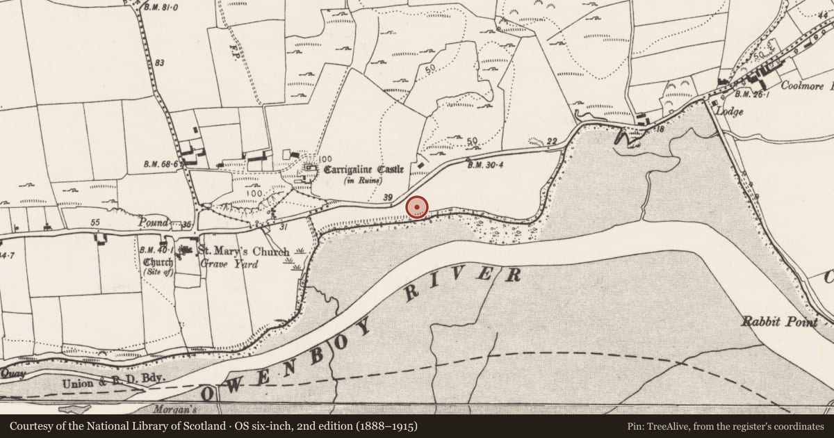 Ordnance Survey six-inch map, 2nd edition (1888–1915) covering the location of Souterrain, Carrigaline East, County Cork, with a pin at the register's coordinates