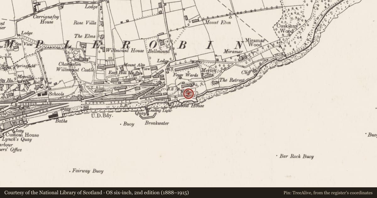 Ordnance Survey six-inch map, 2nd edition (1888–1915) covering the location of Battery, Carrignafoy, County Cork, with a pin at the register's coordinates