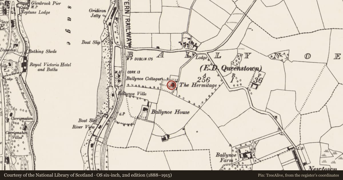 Ordnance Survey six-inch map, 2nd edition (1888–1915) covering the location of Bee-boles, Ballynoe, County Cork, with a pin at the register's coordinates