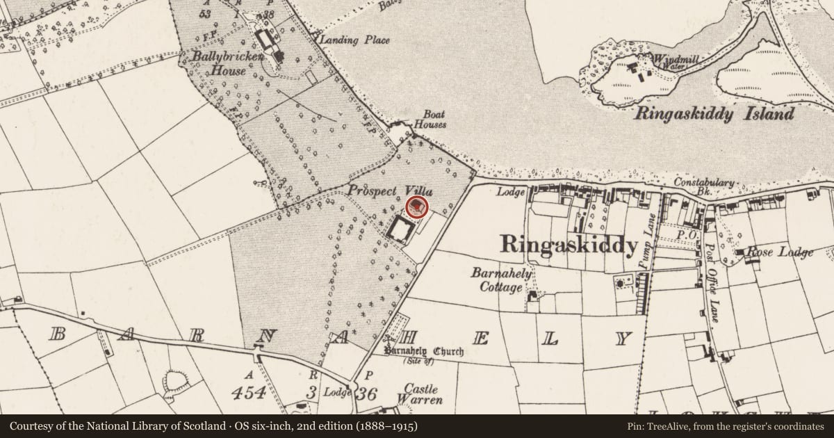 Ordnance Survey six-inch map, 2nd edition (1888–1915) covering the location of Country house, Barnahely, County Cork, with a pin at the register's coordinates