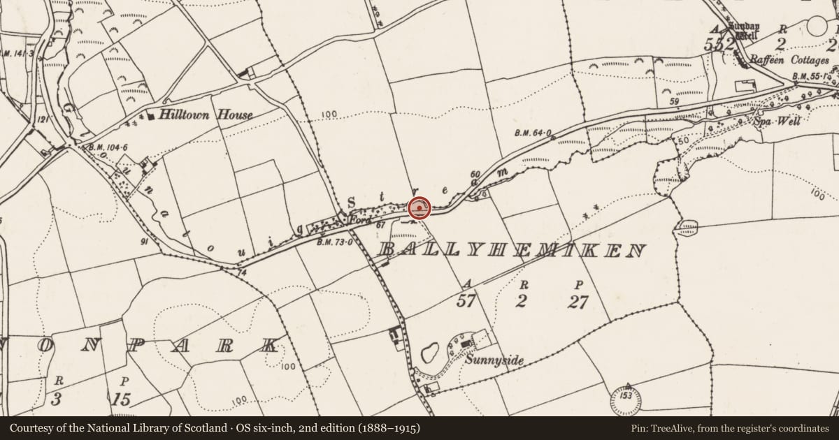 Ordnance Survey six-inch map, 2nd edition (1888–1915) covering the location of Standing stone, Ballyhemiken, County Cork, with a pin at the register's coordinates