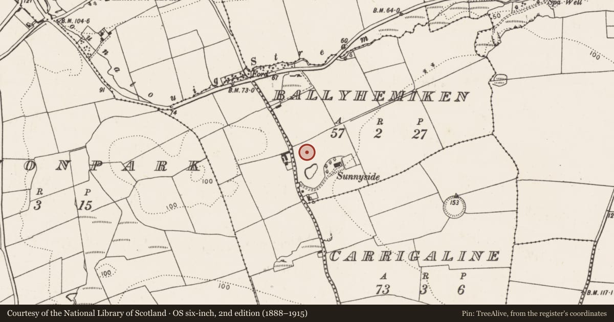 Ordnance Survey six-inch map, 2nd edition (1888–1915) covering the location of Standing stone, Ballyhemiken, County Cork, with a pin at the register's coordinates