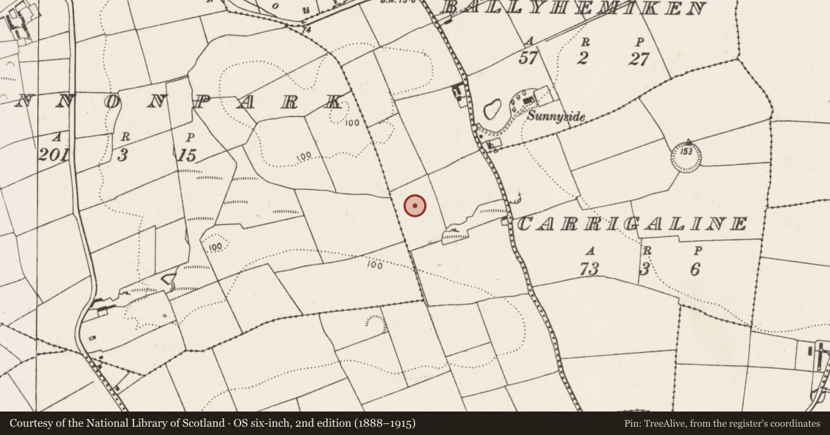 Ordnance Survey six-inch map, 2nd edition (1888–1915) covering the location of Fulacht fia, Carrigaline Middle, County Cork, with a pin at the register's coordinates