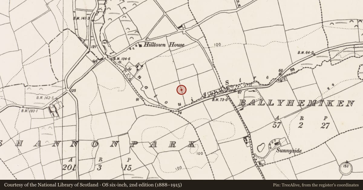 Ordnance Survey six-inch map, 2nd edition (1888–1915) covering the location of Ringfort - rath, Hilltown, County Cork, with a pin at the register's coordinates