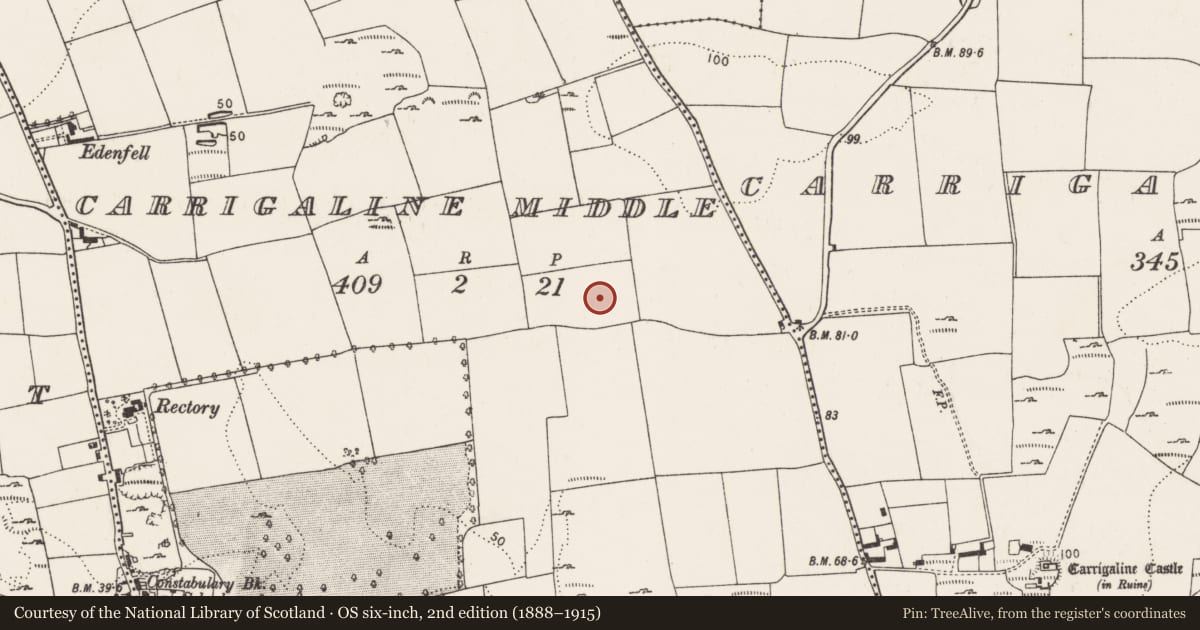 Ordnance Survey six-inch map, 2nd edition (1888–1915) covering the location of Souterrain, Carrigaline Middle, County Cork, with a pin at the register's coordinates