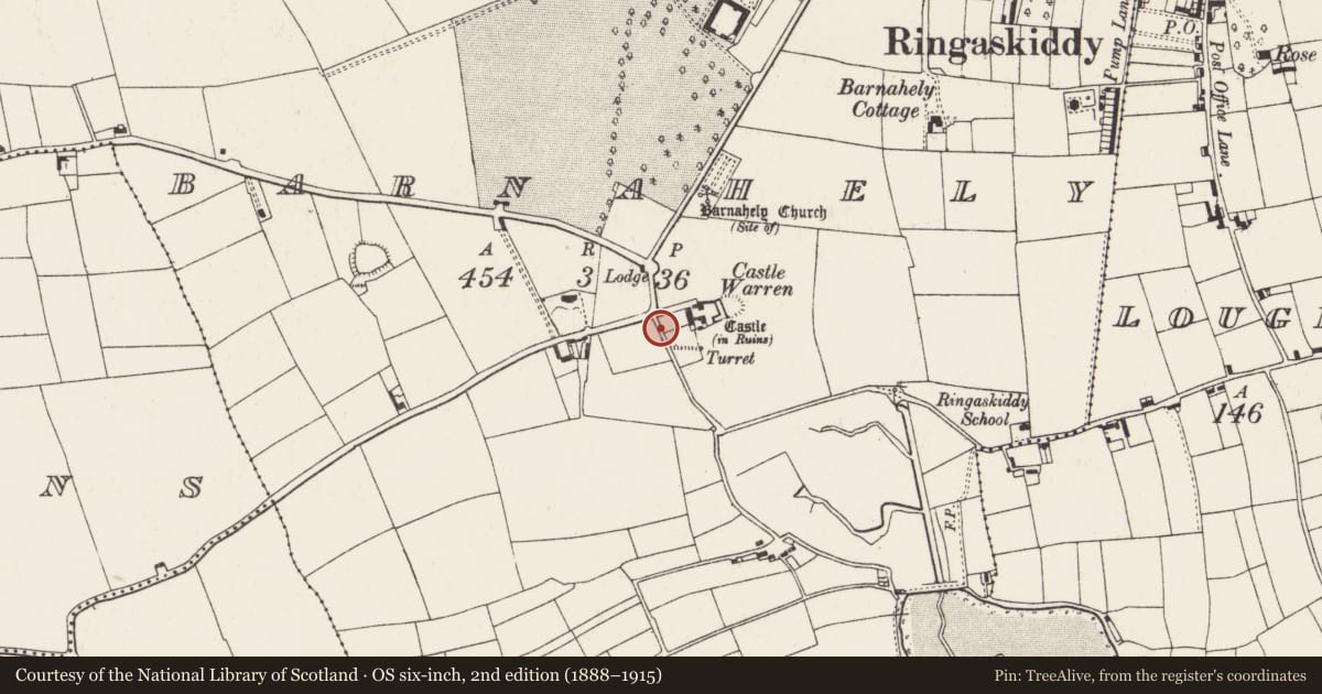 Ordnance Survey six-inch map, 2nd edition (1888–1915) covering the location of Midden, Barnahely, County Cork, with a pin at the register's coordinates
