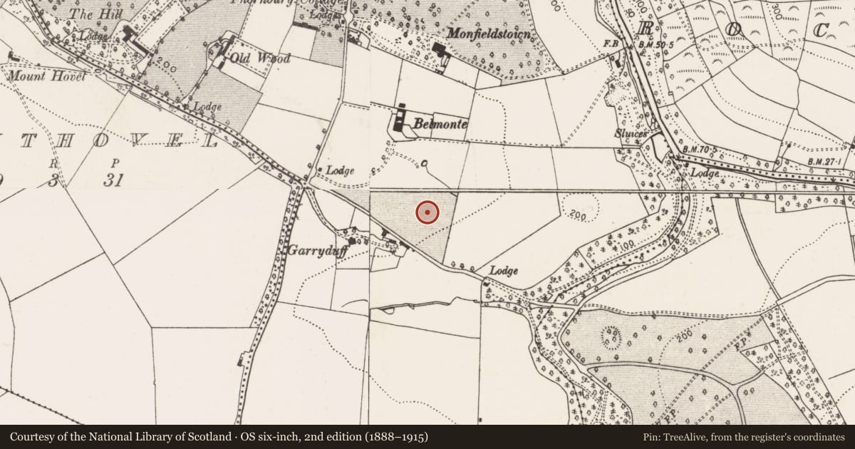Ordnance Survey six-inch map, 2nd edition (1888–1915) covering the location of Standing stone, Monfieldstown, County Cork, with a pin at the register's coordinates