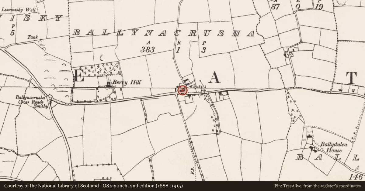 Ordnance Survey six-inch map, 2nd edition (1888–1915) covering the location of Church, Ballynacrusha, County Cork, with a pin at the register's coordinates