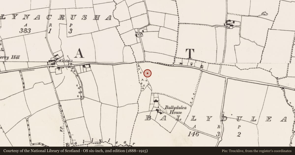 Ordnance Survey six-inch map, 2nd edition (1888–1915) covering the location of Burnt mound, Ballydulea, County Cork, with a pin at the register's coordinates