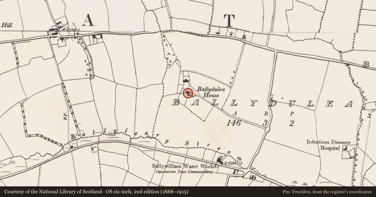 Ordnance Survey six-inch map, 2nd edition (1888–1915) covering the location of House - 16th/17th century, Ballydulea, County Cork, with a pin at the register's coordinates