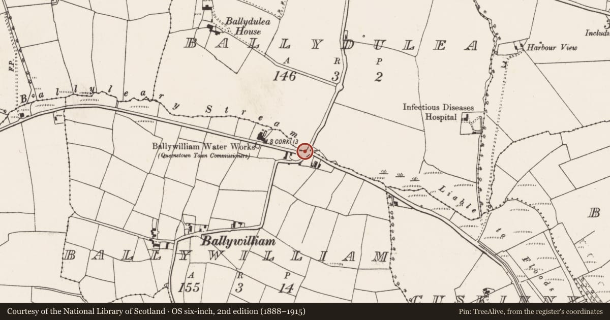 Ordnance Survey six-inch map, 2nd edition (1888–1915) covering the location of Mill - unclassified, Ballydulea, County Cork, with a pin at the register's coordinates