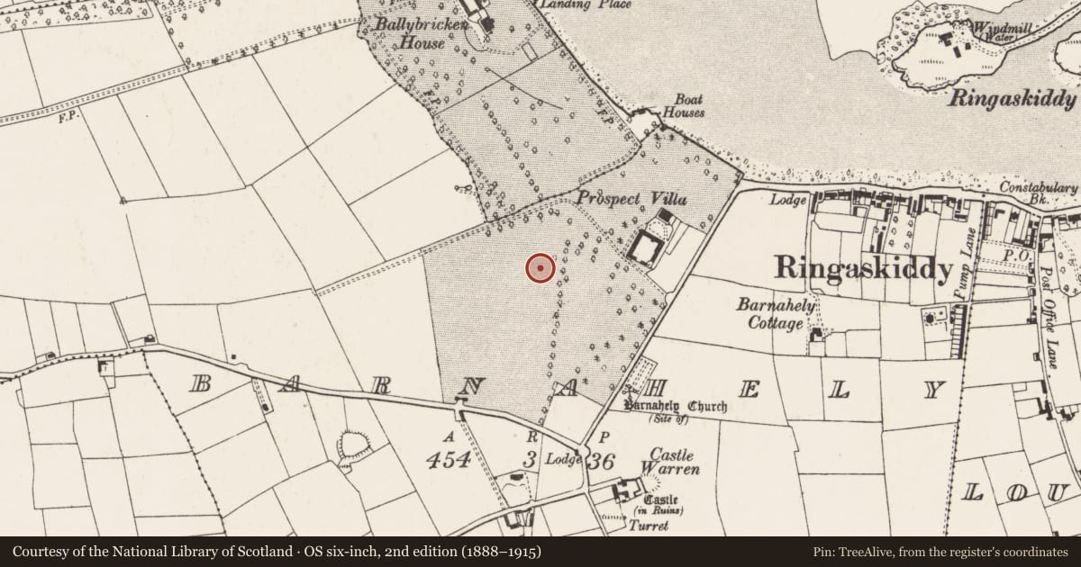 Ordnance Survey six-inch map, 2nd edition (1888–1915) covering the location of Burnt pit, Barnahely, County Cork, with a pin at the register's coordinates