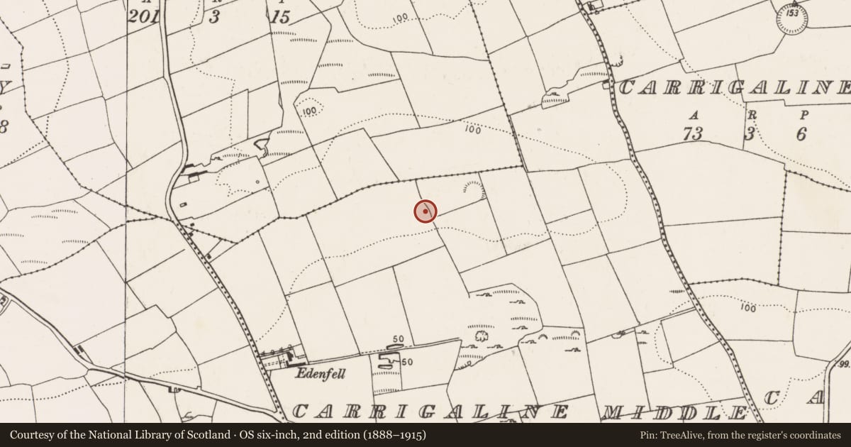 Ordnance Survey six-inch map, 2nd edition (1888–1915) covering the location of Enclosure, Carrigaline Middle, County Cork, with a pin at the register's coordinates