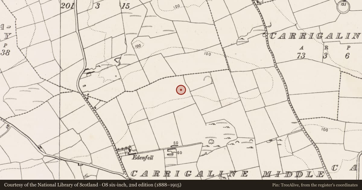 Ordnance Survey six-inch map, 2nd edition (1888–1915) covering the location of Excavation - miscellaneous, Carrigaline Middle, County Cork, with a pin at the register's coordinates