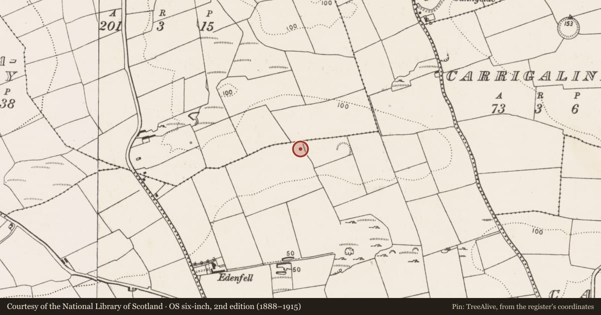 Ordnance Survey six-inch map, 2nd edition (1888–1915) covering the location of Pit-burial, Carrigaline Middle, County Cork, with a pin at the register's coordinates