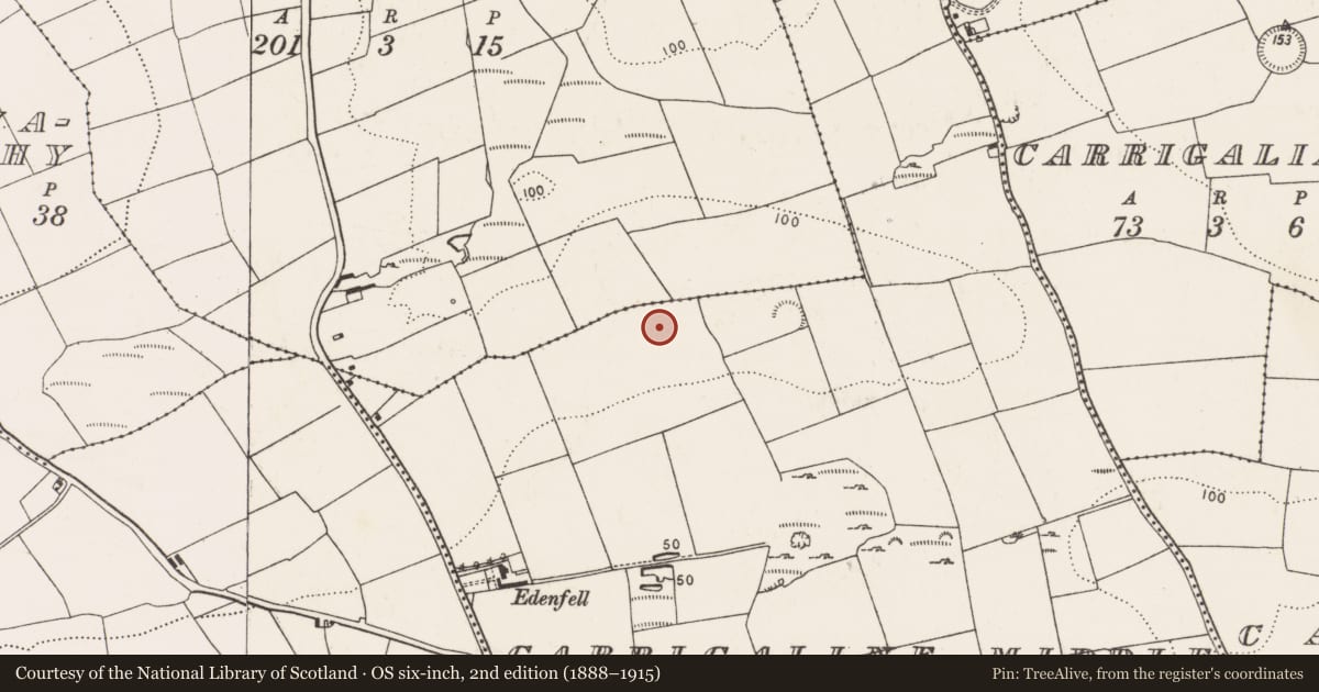 Ordnance Survey six-inch map, 2nd edition (1888–1915) covering the location of Burnt spread, Carrigaline Middle, County Cork, with a pin at the register's coordinates