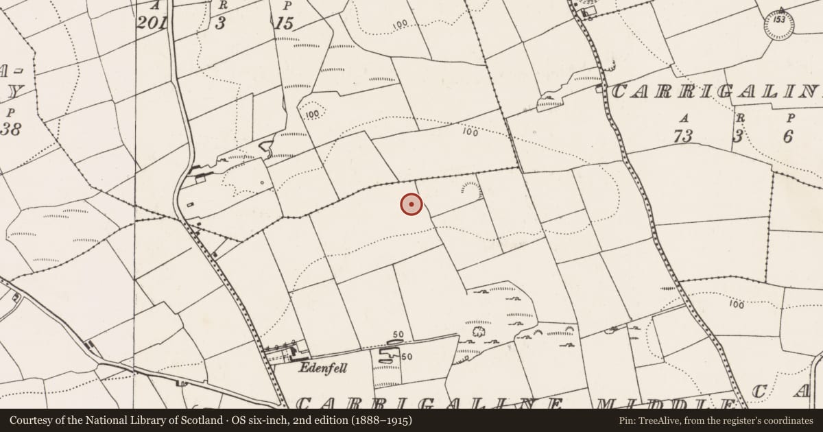 Ordnance Survey six-inch map, 2nd edition (1888–1915) covering the location of Excavation - miscellaneous, Carrigaline Middle, County Cork, with a pin at the register's coordinates