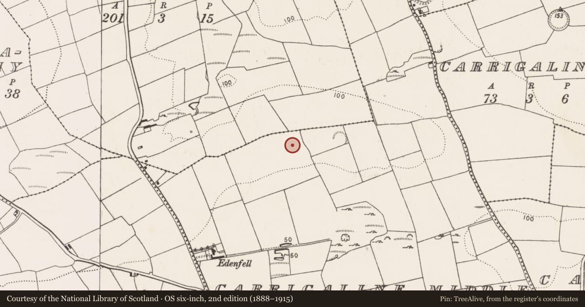 Ordnance Survey six-inch map, 2nd edition (1888–1915) covering the location of Pit-burial, Carrigaline Middle, County Cork, with a pin at the register's coordinates