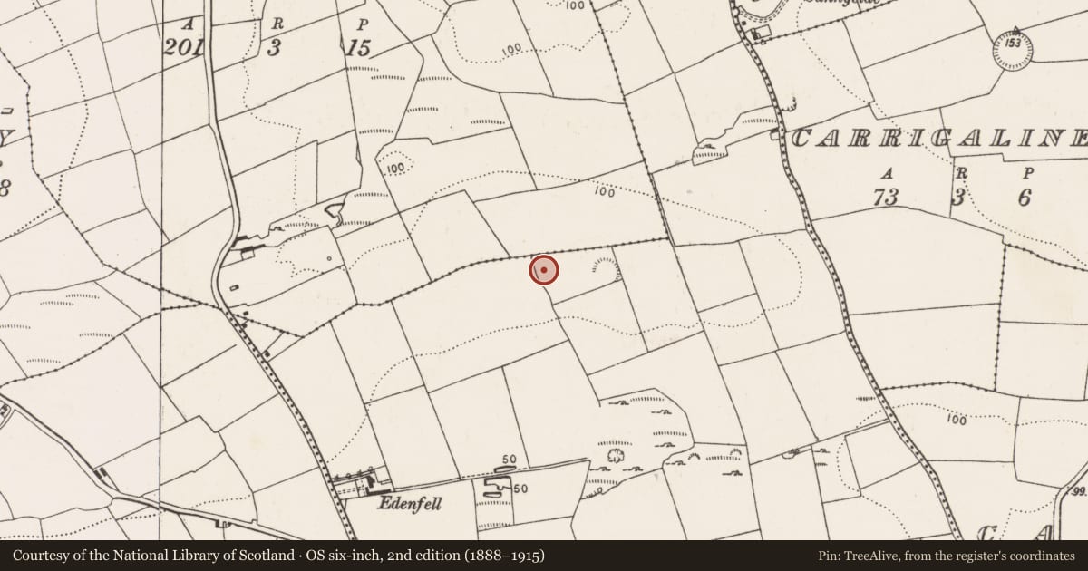 Ordnance Survey six-inch map, 2nd edition (1888–1915) covering the location of Excavation - miscellaneous, Carrigaline Middle, County Cork, with a pin at the register's coordinates