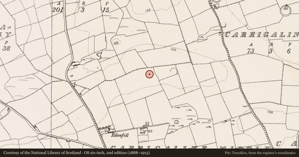 Ordnance Survey six-inch map, 2nd edition (1888–1915) covering the location of Pit-burial, Carrigaline Middle, County Cork, with a pin at the register's coordinates