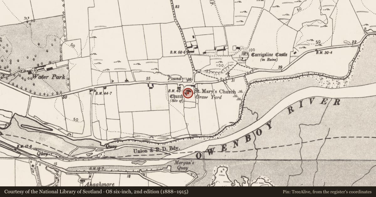 Ordnance Survey six-inch map, 2nd edition (1888–1915) covering the location of Font, Carrigaline Middle, County Cork, with a pin at the register's coordinates