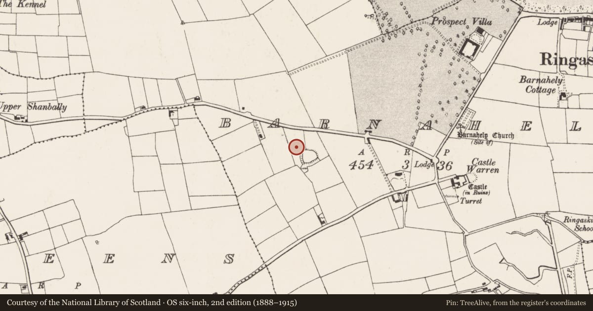 Ordnance Survey six-inch map, 2nd edition (1888–1915) covering the location of Burnt spread, Barnahely, County Cork, with a pin at the register's coordinates