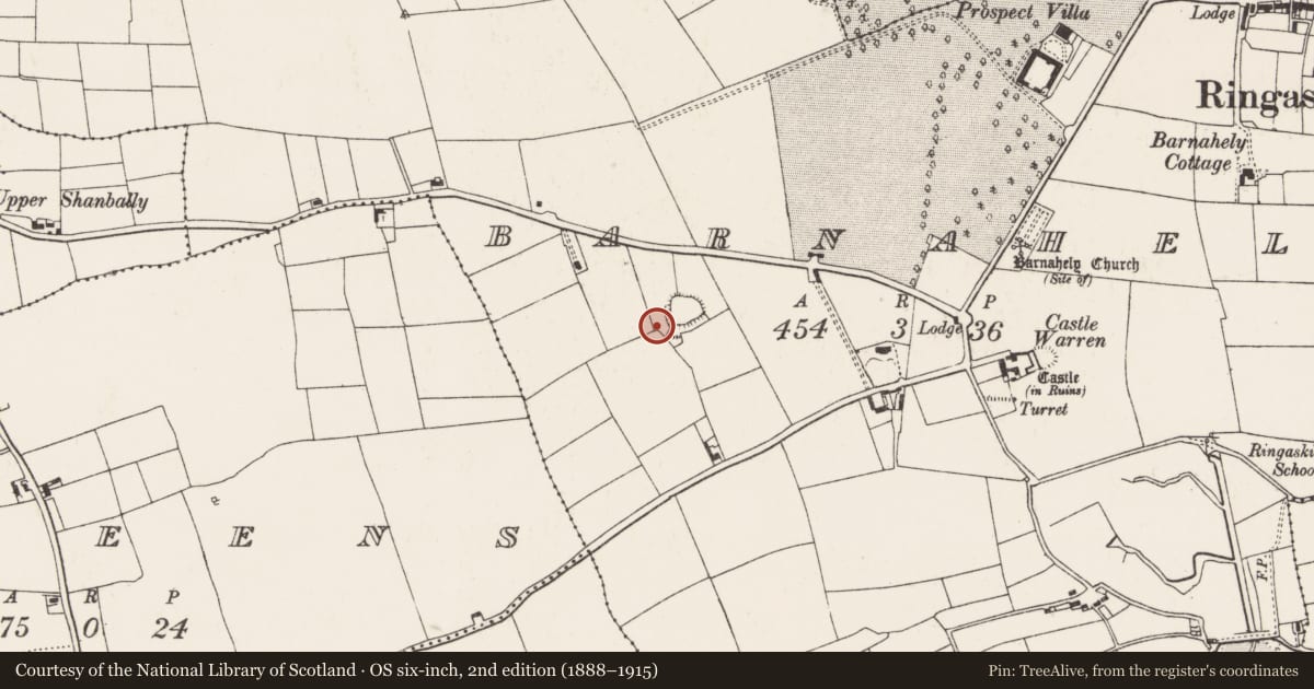 Ordnance Survey six-inch map, 2nd edition (1888–1915) covering the location of Kiln - corn-drying, Barnahely, County Cork, with a pin at the register's coordinates